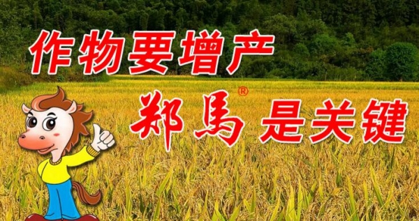 農(nóng)藥零增長(zhǎng)要落地 關(guān)鍵念好“替”字訣